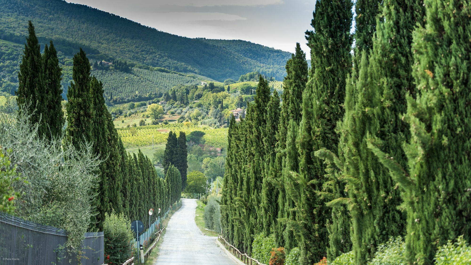 Agriturismo I Pini San Gimignano Esterno foto