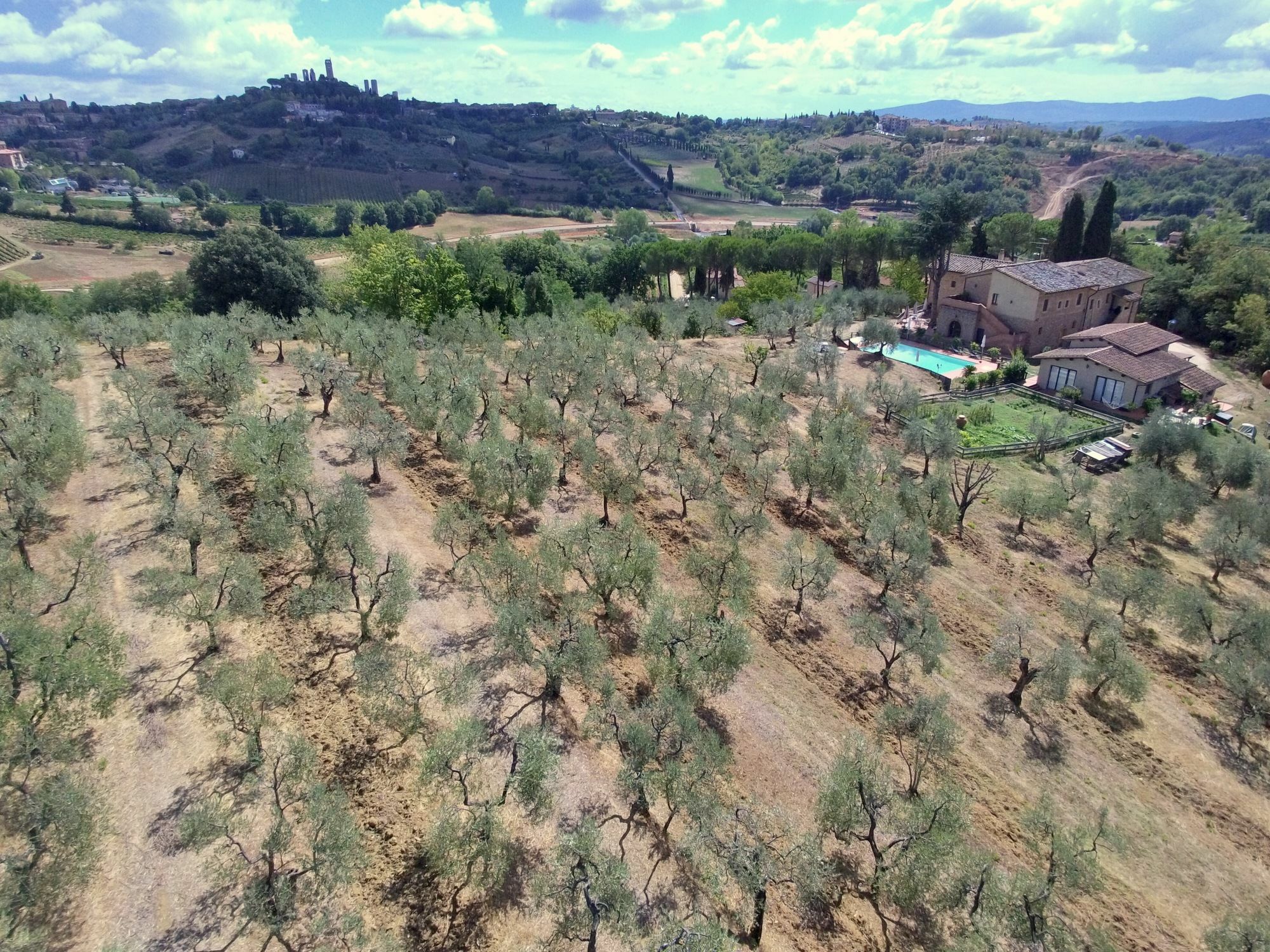 Agriturismo I Pini San Gimignano Esterno foto